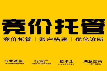 案例解读：SEM代理助力电商销量翻倍